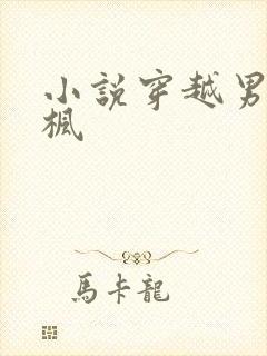 小说穿越男主叶枫