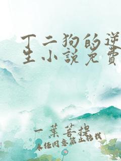 丁二狗的逆袭人生小说免费阅读