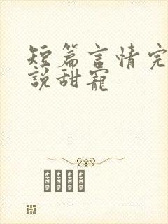 短篇言情完结小说甜宠