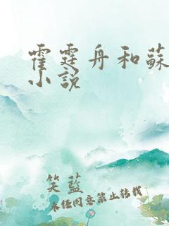 霍霆舟和苏然的小说