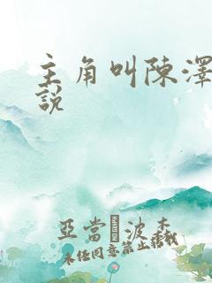 主角叫陈泽的小说