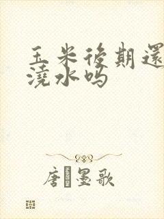 玉米后期还需要浇水吗