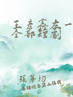 王彦鑫左一演的全部短剧
