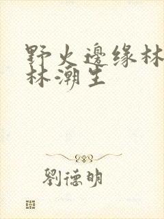 野火边缘林晚晚林潮生
