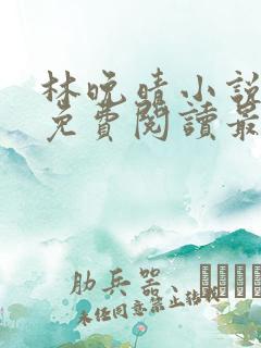 林晚晴小说全文免费阅读最新章节