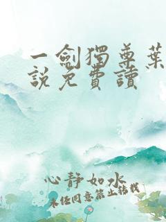 一剑独尊叶玄小说免费读