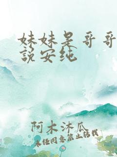 妹妹是哥哥的小说安纯