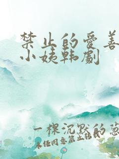 禁止的爱善良的小姨韩剧