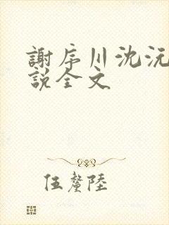 谢序川沈沅珠小说全文