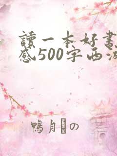 读一本好书读后感500字西游记