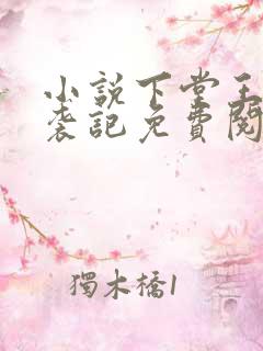 小说下堂王妃逆袭记免费阅读