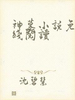 神墓小说免费在线阅读
