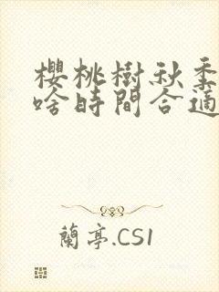 樱桃树秋季施肥啥时间合适