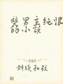 双男主纯恨囚禁的小说