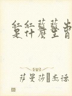 红红蓝蓝出今期是什么生肖