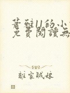 萧雅11的小说免费阅读无弹窗最新章节