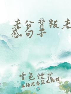 老公背叛老婆伤感句子