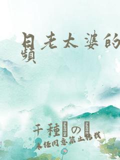 日老太婆的逼视频