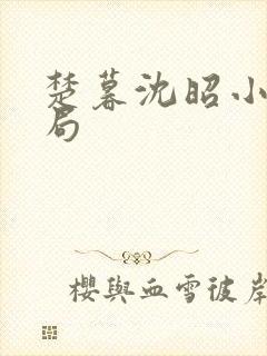 楚暮沈昭小说结局