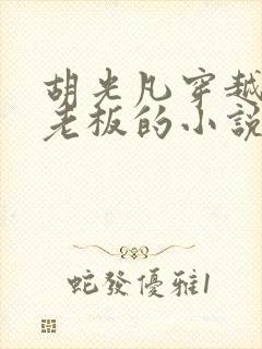 胡光凡穿越成小老板的小说免费阅读