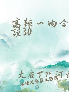 高辣～肉合集小说30