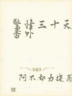 惊情三十天婚后番外