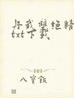 丹武双绝精校版txt下载