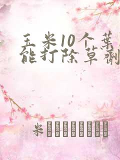 玉米10个叶还能打除草剂吗