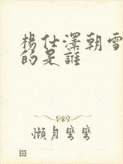 杨仕泽朝雪录演的是谁