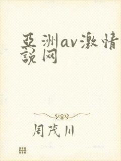 亚洲av激情小说网