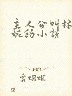 主人公叫林北苏婉的小说