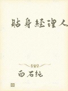 贴身经理人