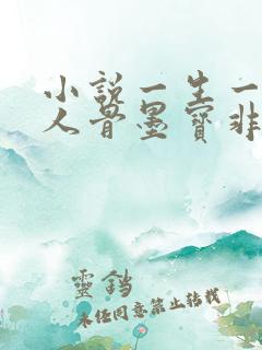 小说一生一世美人骨墨宝非宝正版