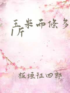 玉米面条多少钱1斤