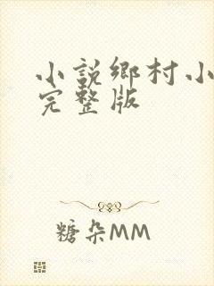 小说乡村小神农完整版