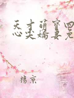 天才萌宝四爷的心尖娇妻免费阅读