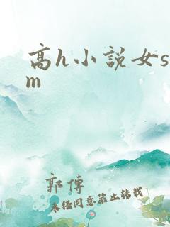 高h小说女s男m