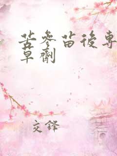 苦参苗后专用除草剂