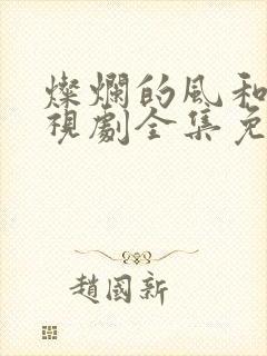 灿烂的风和海电视剧全集免费观看