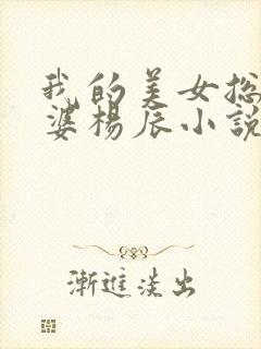 我的美女总裁老婆杨辰小说
