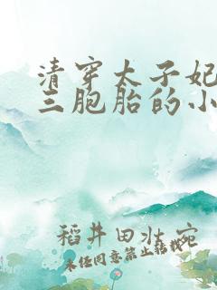清穿太子妃生了三胞胎的小说