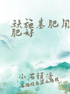 秋施基肥用什么肥好