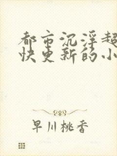 都市沉浮超前超快更新的小说