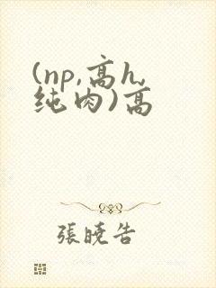 (np,高h,纯肉)高