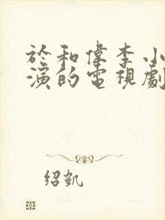 于和伟李小冉主演的电视剧有哪些电视剧