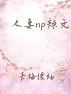 人妻np辣文