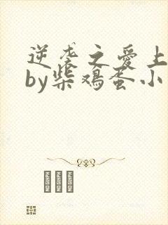 逆袭之爱上情敌by柴鸡蛋小说免费阅读