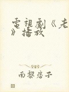 电视剧《老农民》播放