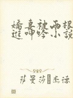 娇妻被两根一起进呻吟小说