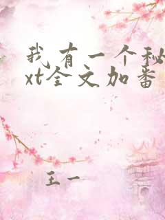 我有一个秘密txt全文加番外